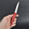 Набор овощных ножей VICTORINOX Swiss Classic 6.7116.32